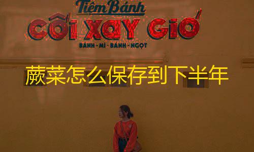 暗区AG直装免卡密下载蕨菜怎么保存到下半年